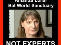 120_bat_world_sanctuary_no_expert.jpg original image ( 314x306)
