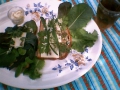 120_my_organic_garden_sandwich_1.jpg original image ( 640x480)