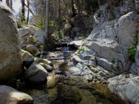 200_april_11_2013_upper_big_tujunga_canyon_031.jpg original image ( 2304x1728)