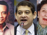 200_0422-ruth-guingona-ambushed-by-cpp-npa.jpg original image ( 483x246)