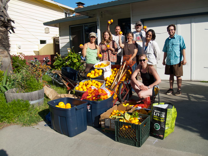 fruit-tree-project_6_4-21-13.jpg 