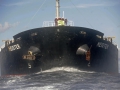120_20130424_greenpeace_mg_7586.jpg original image ( 1024x683)