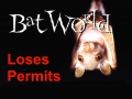 120_bat_world_sanctuary.jpg original image ( 600x514)