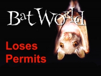 200_bat_world_sanctuary.jpg original image ( 600x514)