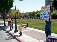 200_idle-no-more-hollister-april-27-2013-7.jpg original image ( 800x530)