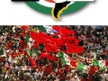 120_mayday2009logosmall.jpg original image ( 200x600)