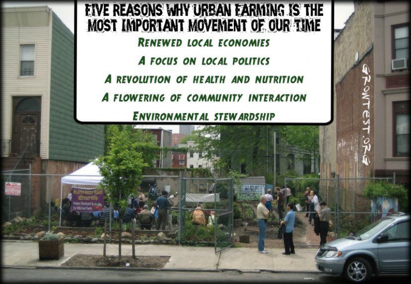 800_urban_farming_five_reasons.jpg 