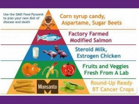 200_gmofoodpyramidofdeath.jpg original image ( 672x429)