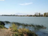 200_sacramento_river.jpeg original image ( 300x200)