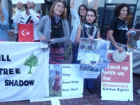 200_turkey_berkeley_rally6-6-13.jpg original image ( 2560x1920)