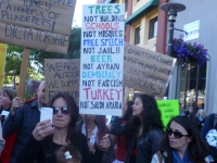 200_turkey_berkeley_rally_trees6-6-13.jpg original image ( 1920x2560)
