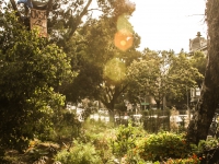 200_hayes_valley_farm.jpg original image ( 1568x2352)