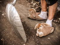 200_hayes_valley_farm_bunny_slippers.jpg original image ( 2352x1568)