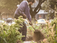 200_hayes_valley_farm_gardener.jpg original image ( 1568x2352)