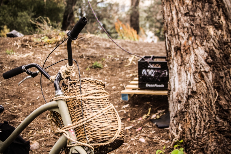 800_hayes_valley_farm_bike.jpg 