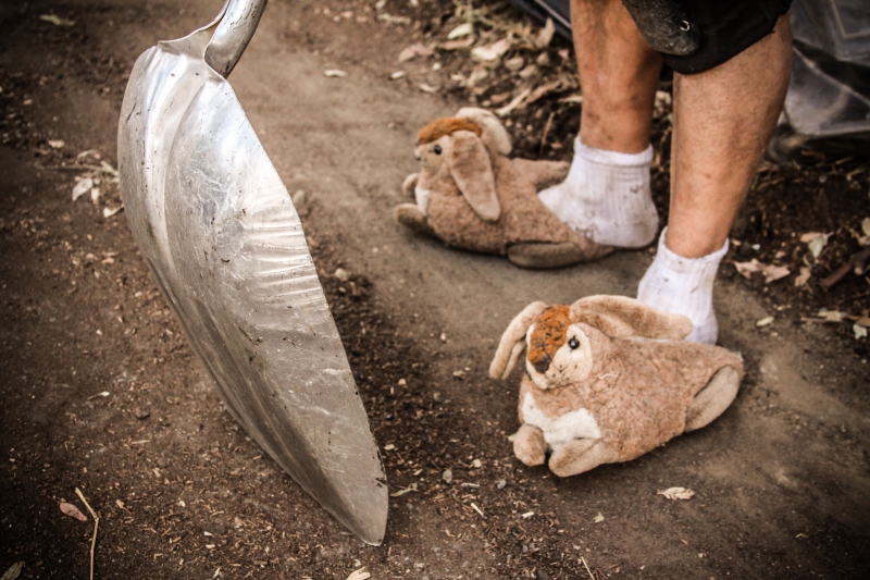 800_hayes_valley_farm_bunny_slippers.jpg 