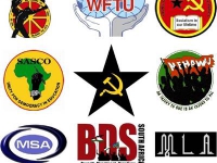200_sa_protest_organization.jpg original image ( 400x584)