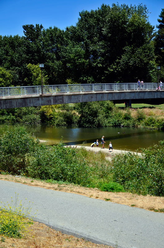 san-lorenzo-river-santa-cruz-june-19-2013-19.jpg 