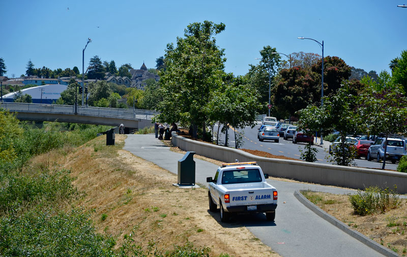 san-lorenzo-river-santa-cruz-riverway-june-19-2013-10.jpg 