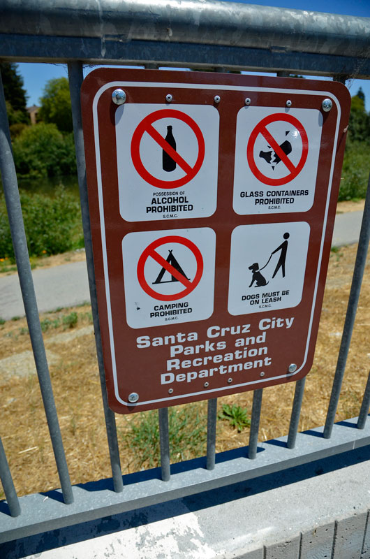 san-lorenzo-riverway-june-19-2013-15.jpg 