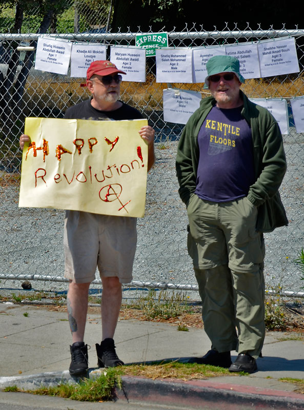 happy-revolution-independence-day-santa-cruz-july-4th-2013-7.jpg 