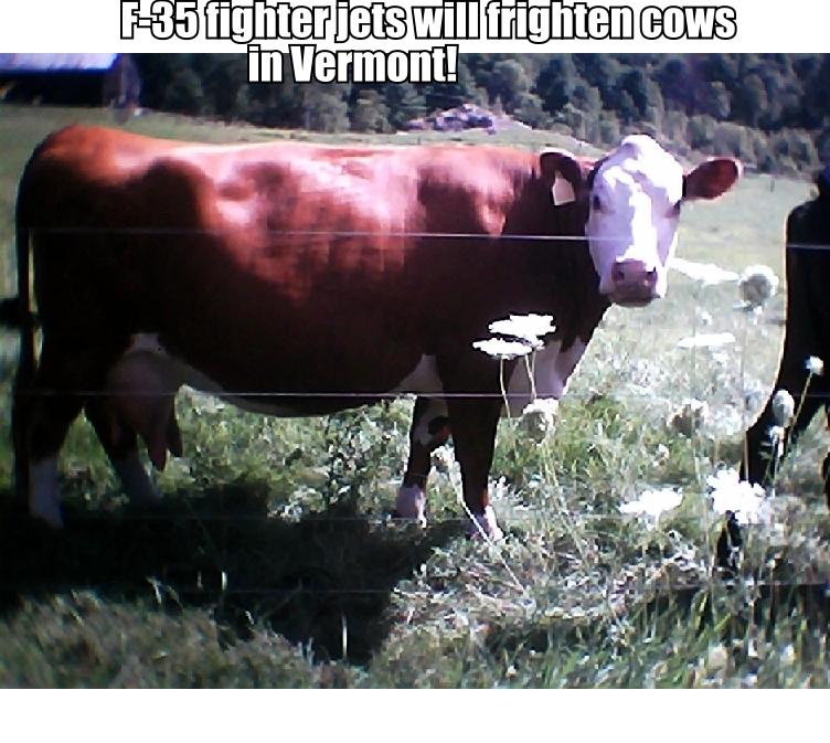 cow_poster_aug_11_2013.jpg 