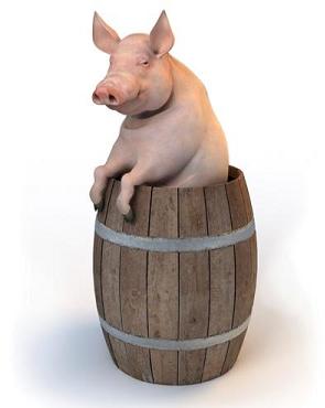 2013-pork-barrel-philippines-congress.jpeg 