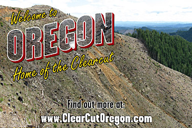 clearcutoregon.jpg 