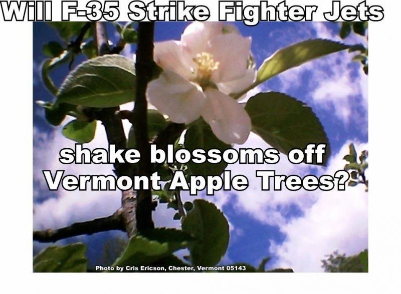 800_apple_blossom.jpg 