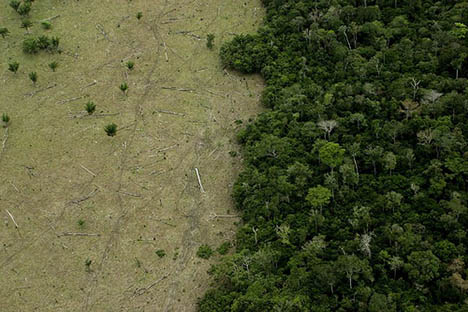 20131122-theverb-20090415-amazon-deforestation.jpg 