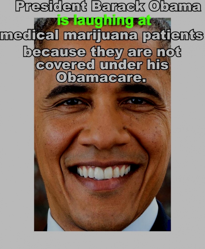 800_president_obama_is_lauging.jpg 