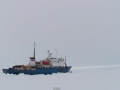 20131230-akademik-shokalskiy-sea-ice.png