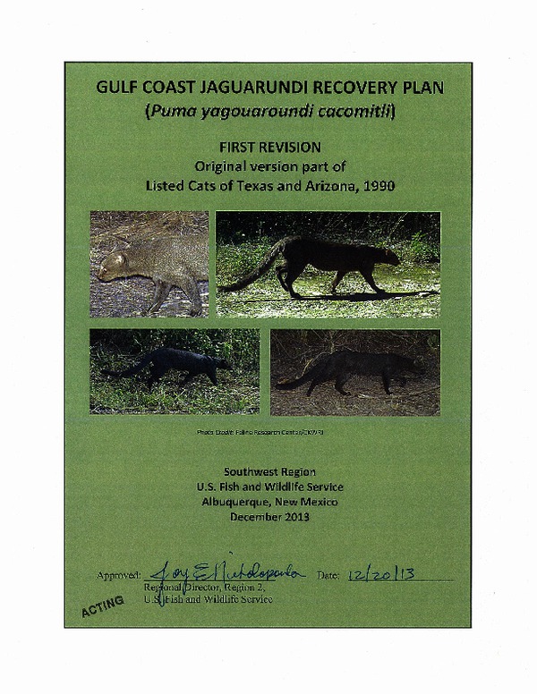 gulfcoastjaguarundi_finalrecoveryplan_dec2013.pdf_600_.jpg