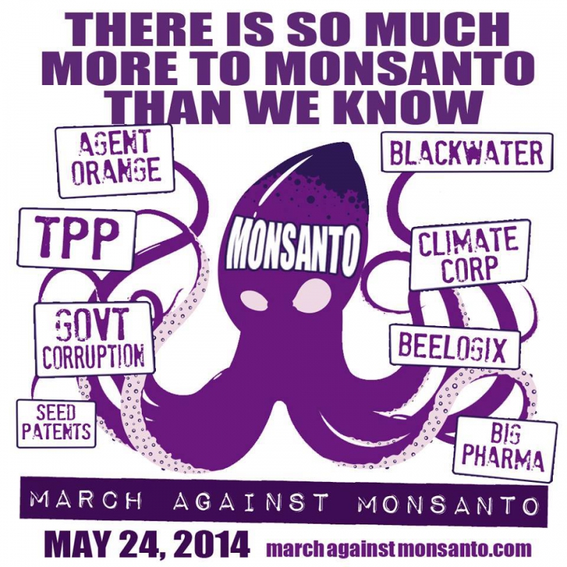 800_march_against_monsanto_2.jpg 