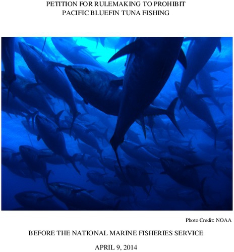 petition_for_rulemaking_to_end_pacific_bluefin_tuna_fishing.pdf_600_.jpg