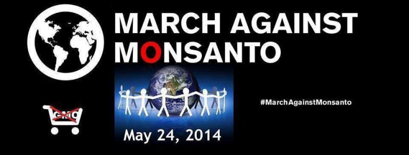 800_march_against_monsanto.jpg 