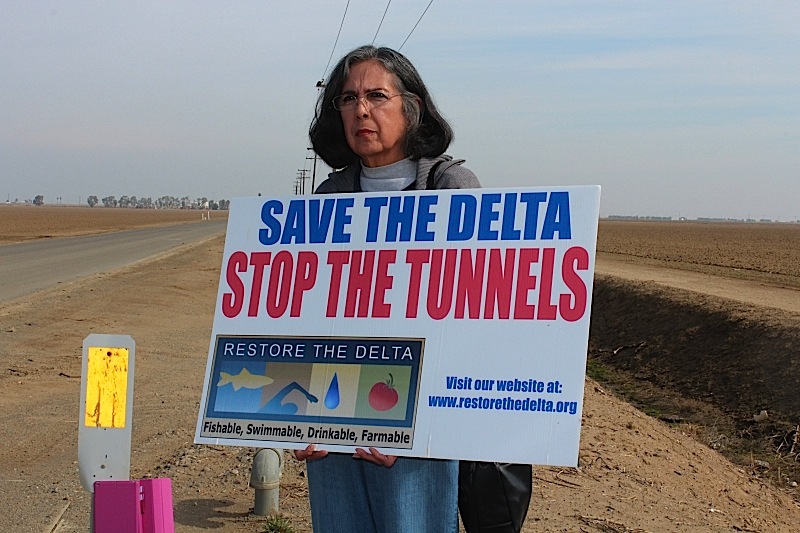 save_the_delta__stop_the_tunnels.jpg 