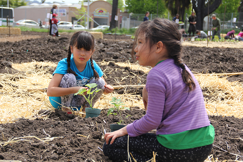 gilltract-communityfarmday_20140426_009.jpg 