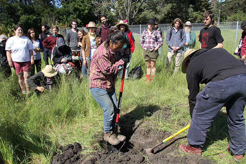 gilltract-communityfarmday_20140426_023.jpg 