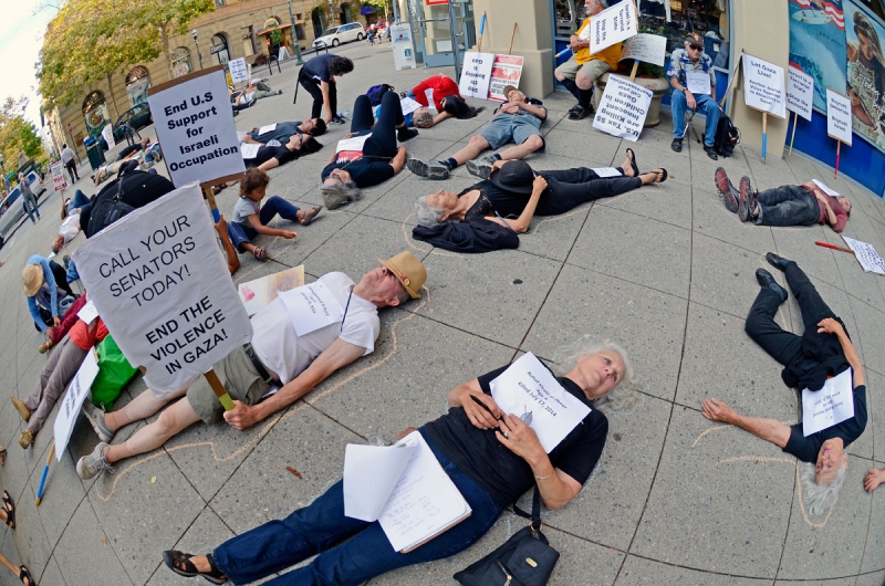 800_free-palestine-gaza-die-in-santa-cruz-july-28-2014-1.jpg 