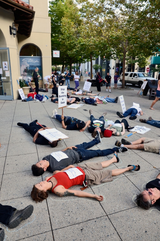 800_free-palestine-gaza-die-in-santa-cruz-july-28-2014-5.jpg 