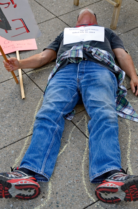 800_free-palestine-gaza-die-in-santa-cruz-july-28-2014-8.jpg 