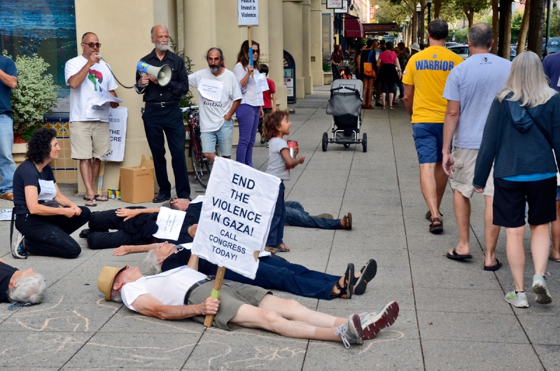 800_free-palestine-gaza-die-in-santa-cruz-july-28-2014-9.jpg 