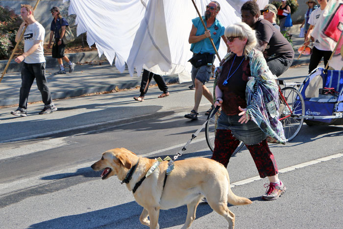 santa-cruz-eleven-parade-august-25-2014-6.jpg 