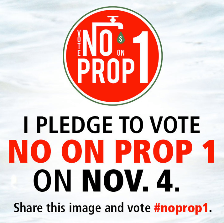 pledge_to_vote_no_on_prop._1_.png 