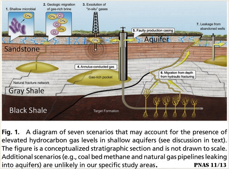 800_pnas_2013_7_scenarios_contamination.jpg 