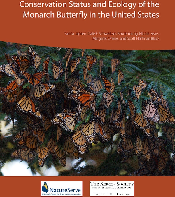 natureserve-xerces_monarchs_usfs.pdf_600_.jpg