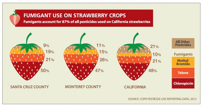 800_fumigants_on_california_strawberries.jpg 