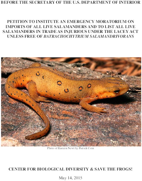 lacey_act_petition_for_salamander_import_moratorium.pdf_600_.jpg