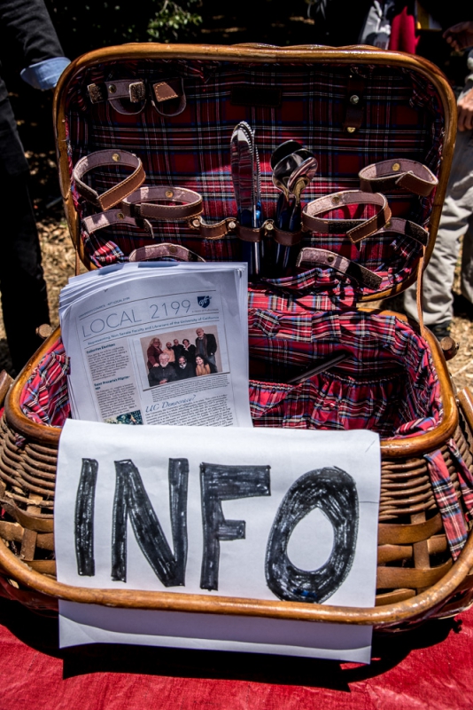 800_uc-santa-cruz-lecturers-picket-10.jpg 